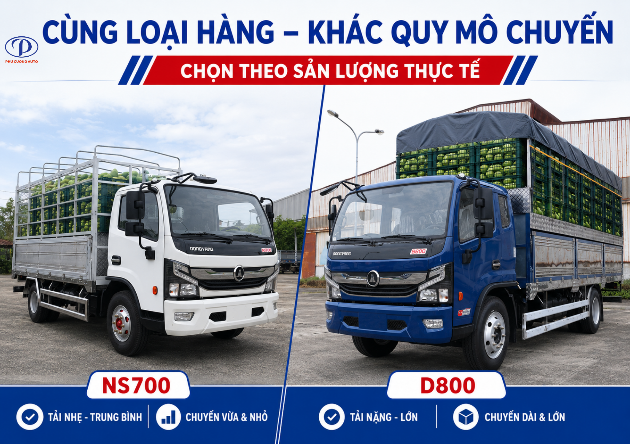 Nên chọn Đồng Vàng NS700 hay D800