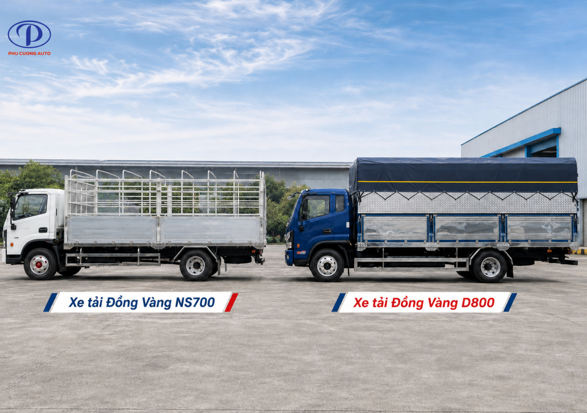 Đồng Vàng NS700 và D800 đặt cạnh nhau